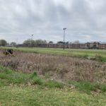 Retention Pond Cleaning