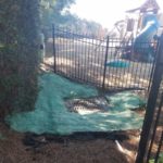 Common Area Drainage