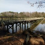 Footbridge Replacement